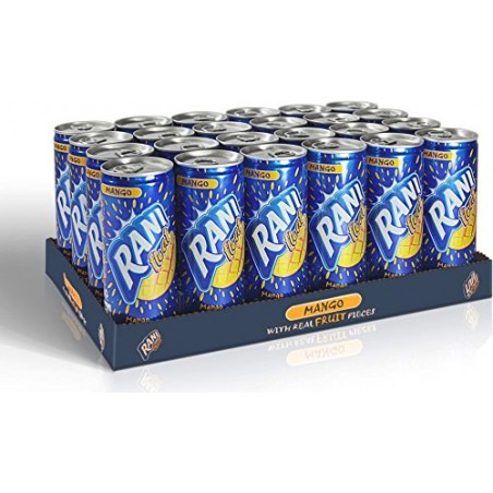 Mango Juice 24 x 240ml