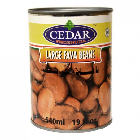 Large Fava Beans