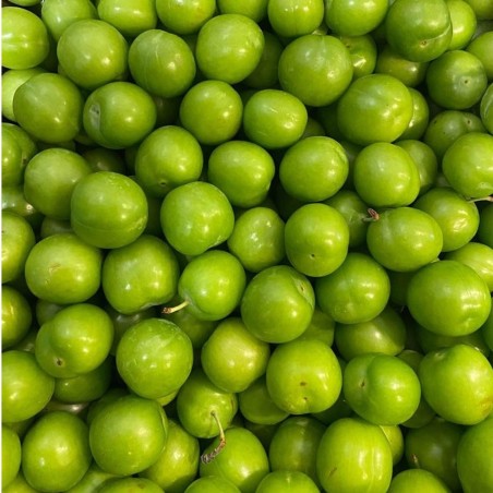 FRESH TURKISH PLUMS